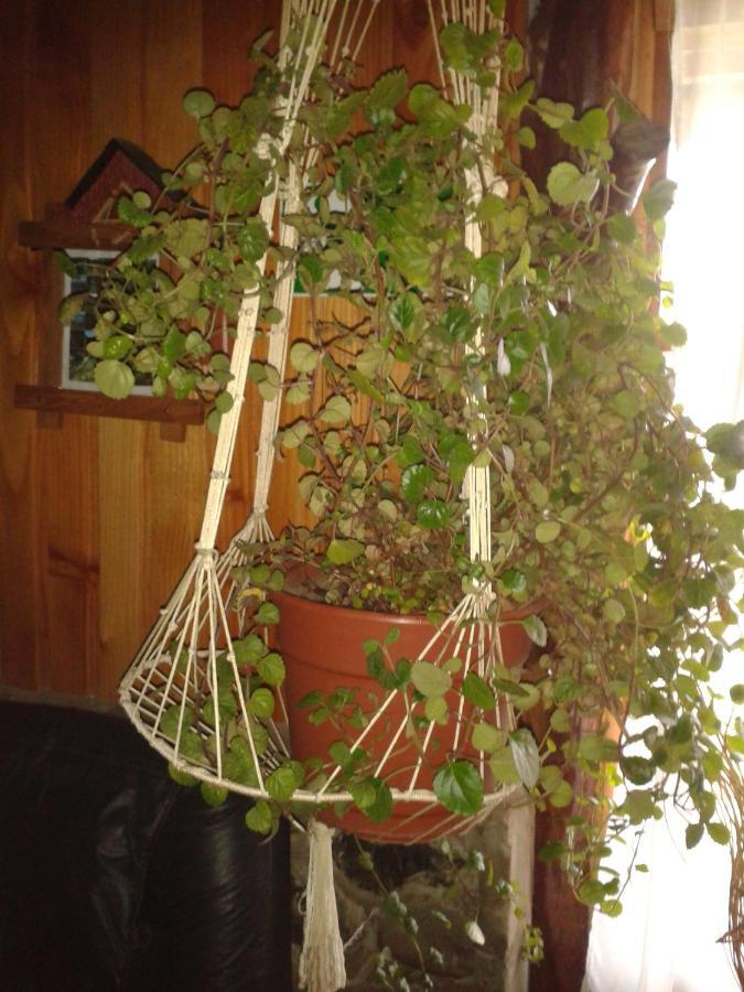 Hosteria Rayen La Junta Ngoại thất bức ảnh